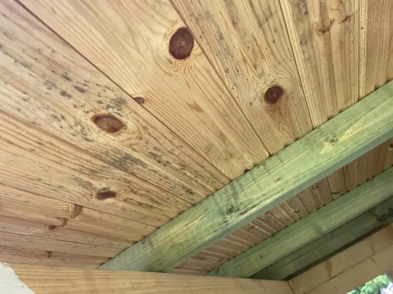 Mögel på träpanelen i en friggebod, troligen på grund av bristande ventilation.